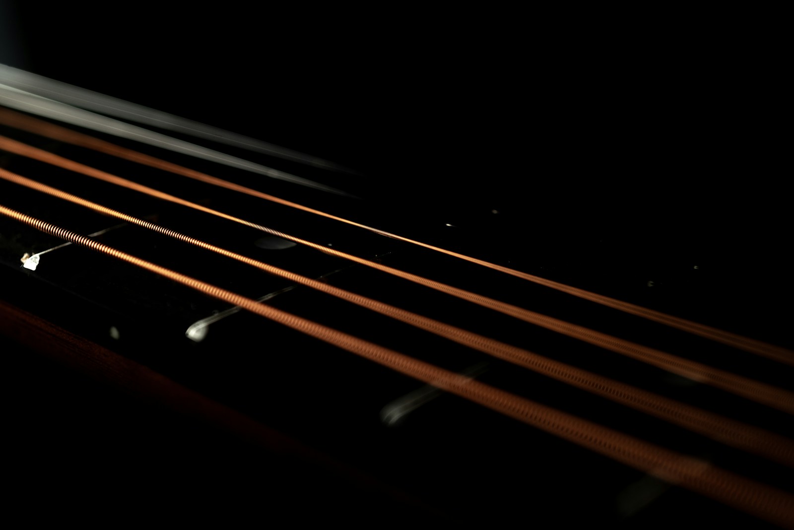 A close view of guitar strings catching warm light against a dark background